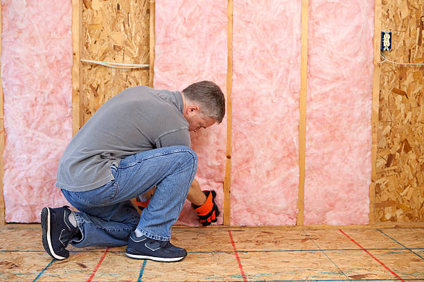 Insulation Replacement Services in Morristown, TN